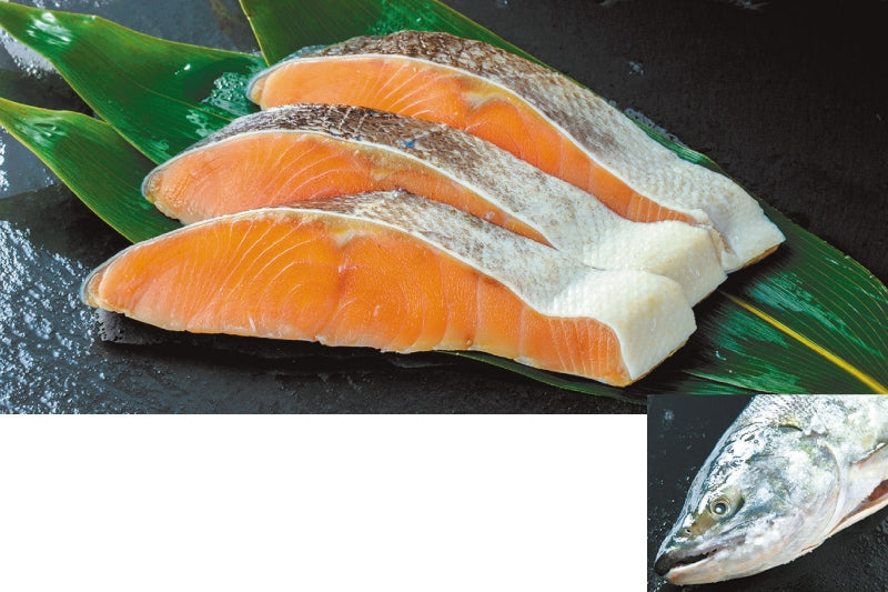 鶴屋百貨店「大道産子市」出店 | 北海道物産展 | 鮭匠ふじい – 藤井