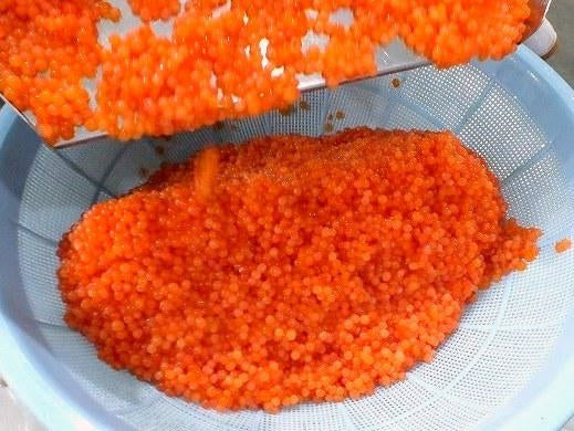 【新物】いくらの醤油漬