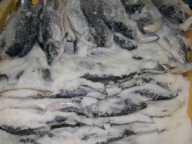 【迎春・新巻鮭】紅鮭姿切身(中塩)送料無料.