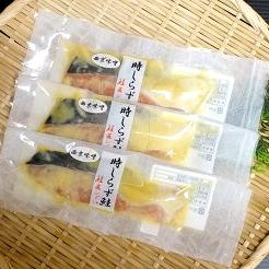 藤井水産の鮭 時しらず鮭 サーモン 西京漬け 取り寄せ 通販 北海道グルメ 北海道物産展 北海道ギフト 北海道贈り物 お歳暮