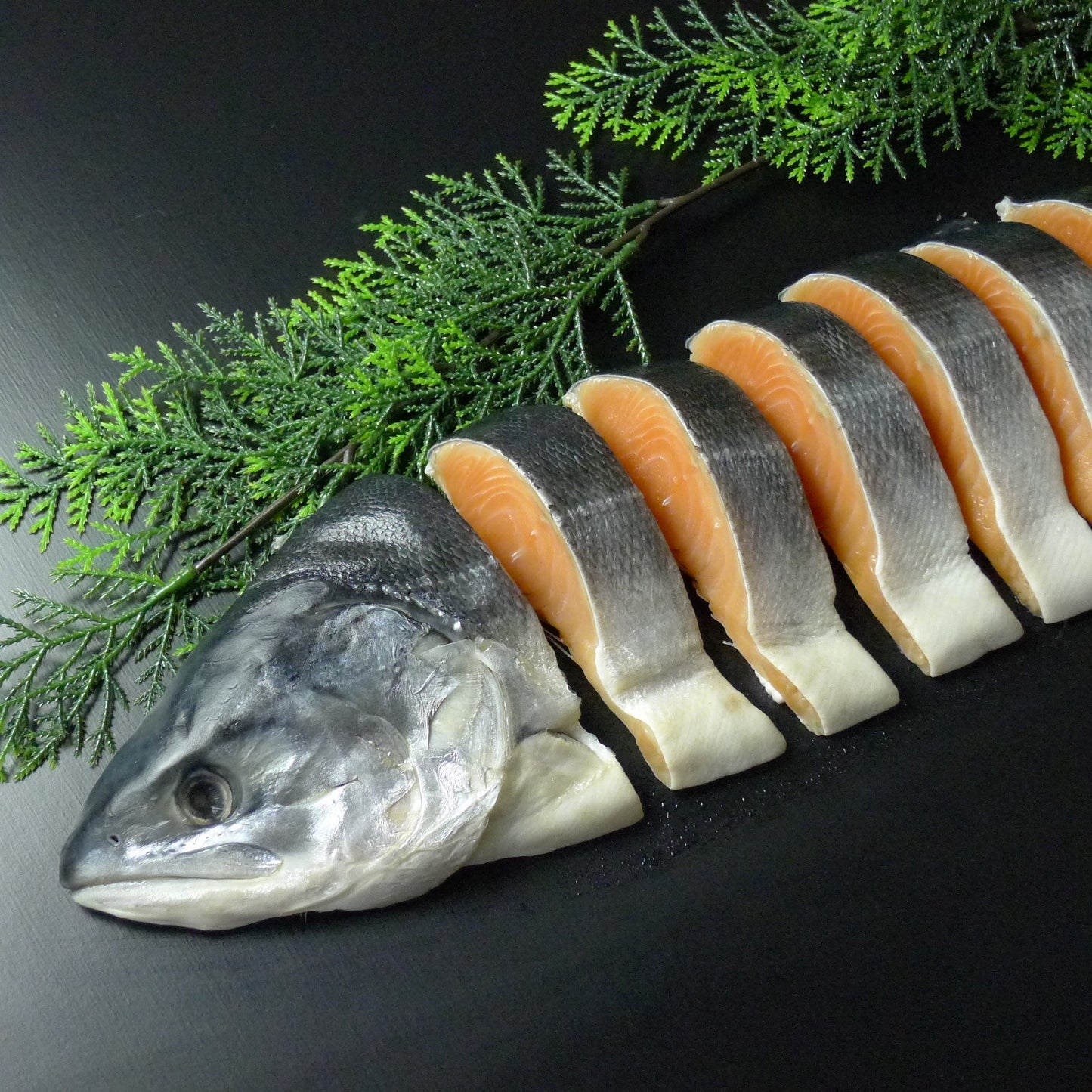 藤井水産の鮭 時しらず鮭 サーモン 取り寄せ 通販 北海道グルメ 北海道物産展 北海道ギフト 北海道贈り物 お歳暮