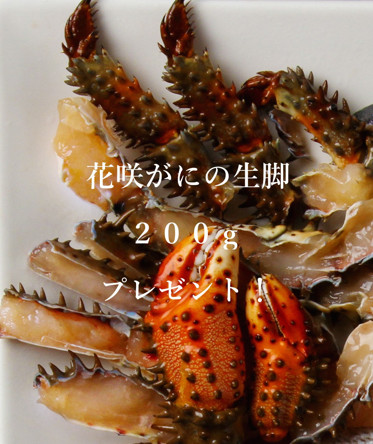 花咲ガニ(鉄砲汁用)