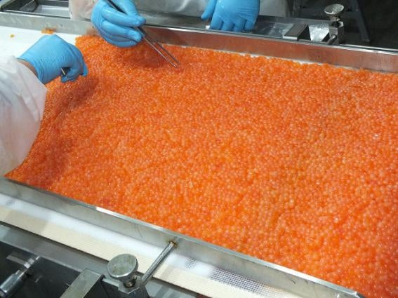 【新物】いくらの醤油漬
