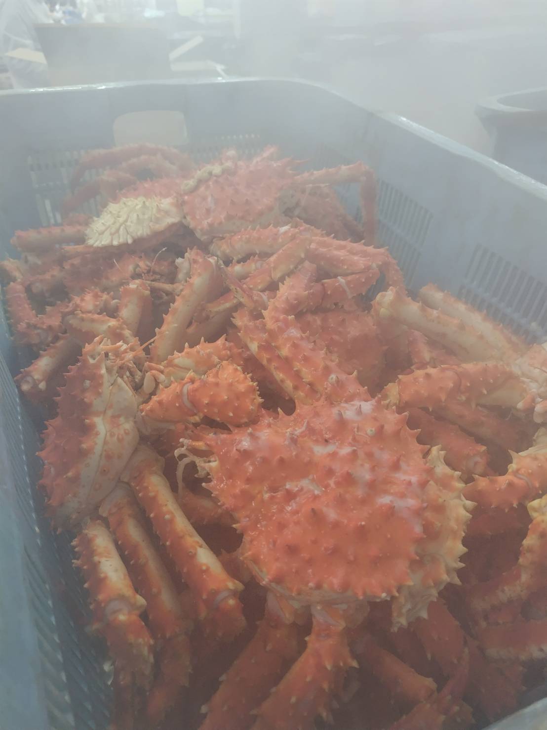 塩ゆで直後のタラバガニ