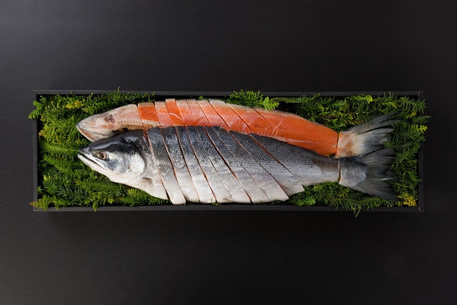 新巻鮭・紅鮭姿切身 | 贈り物ギフト | 鮭のことなら鮭匠ふじい – 藤井