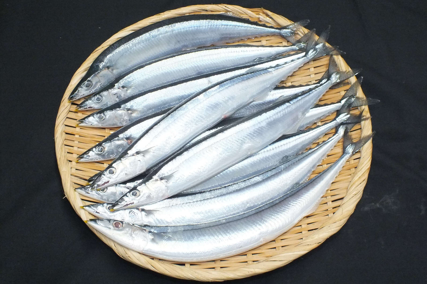 新物・根室花咲港で水揚げされたばかりの「特大さんま」 10尾（平均サイズ約160g以上／冷凍）