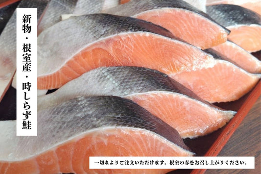 時しらず鮭・2025新物
