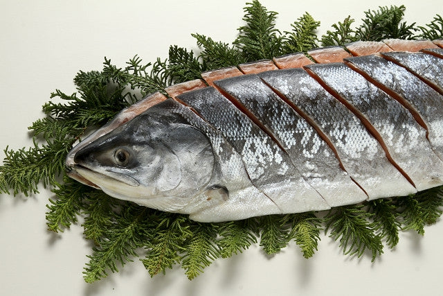 新巻鮭（秋鮭）姿身