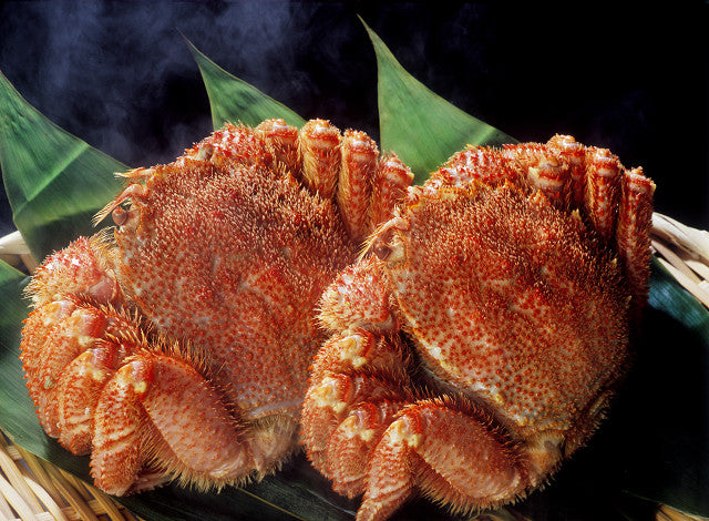 毛がに（北海道根室産）